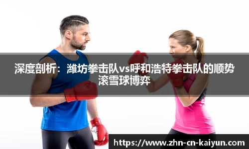 深度剖析：潍坊拳击队vs呼和浩特拳击队的顺势滚雪球博弈